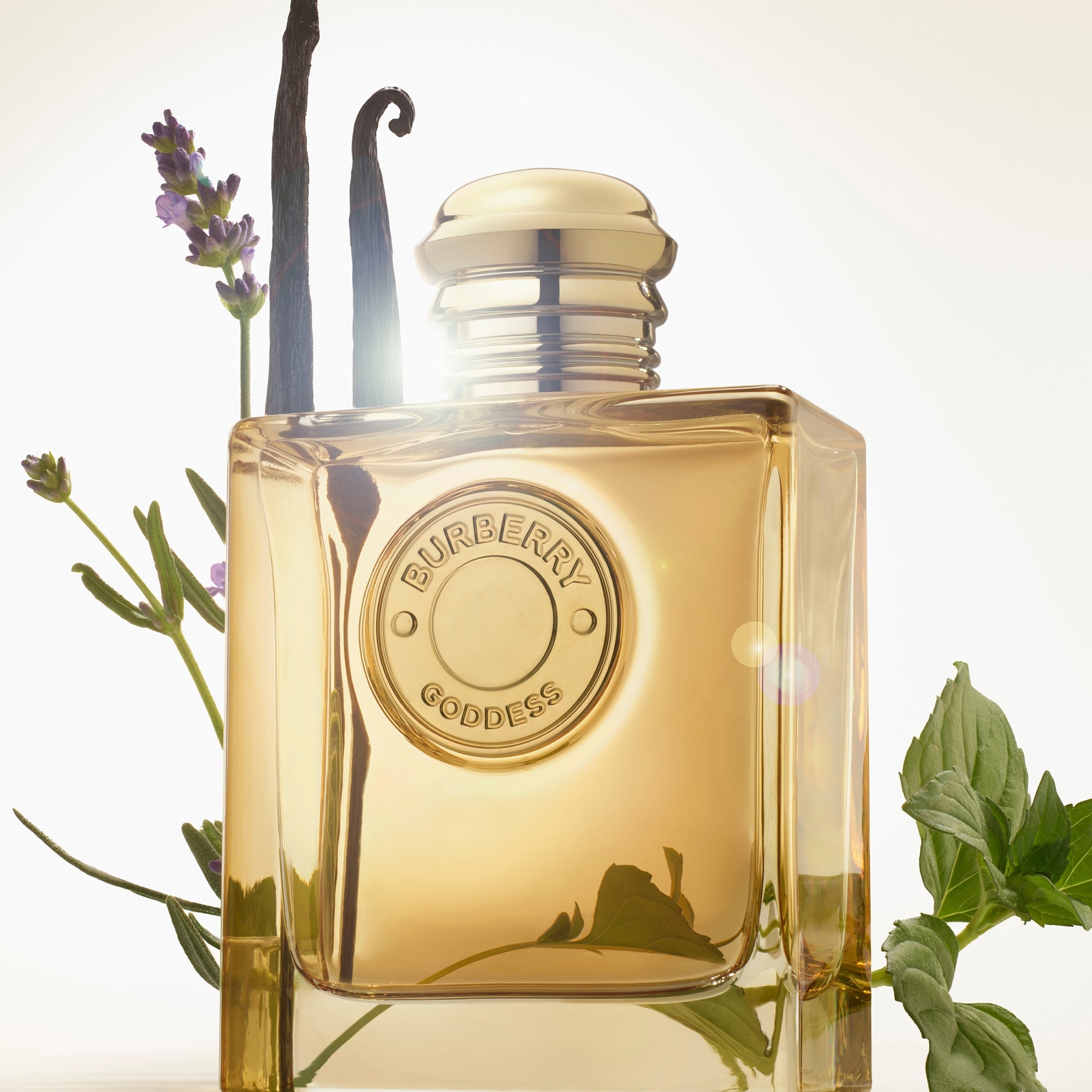 Burberry Goddess For Women EDP Intense 100ML