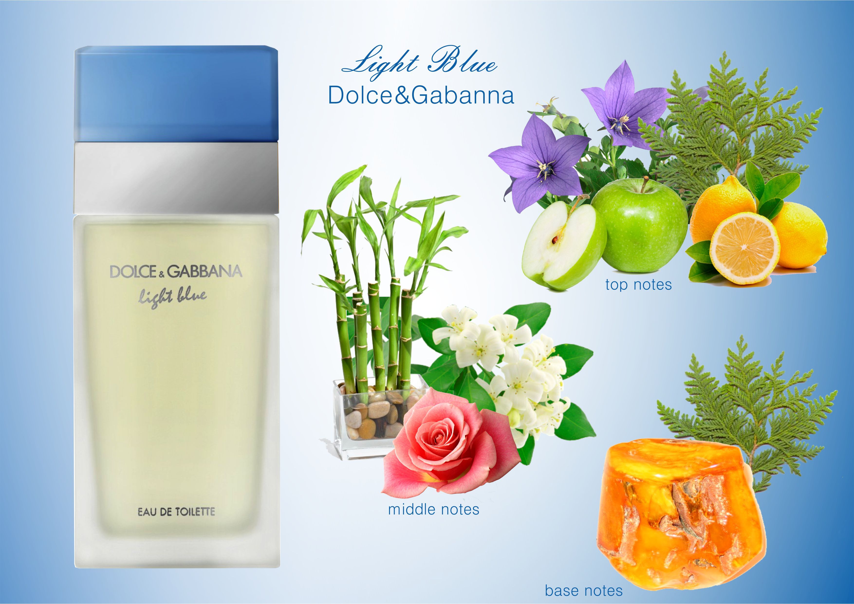 Dolce & Gabbana Light Blue Pour Femme Eau De Toilette 100ML
