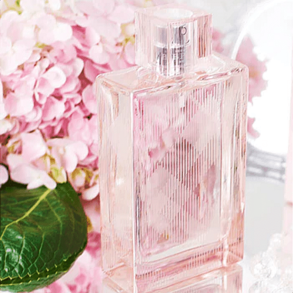 Burberry Brit Sheer For Women Eau De Toilette 100ML