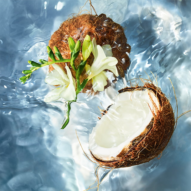 Guerlain Aqua Allegoria Coconut Fizz Eau De Toilette 75ML