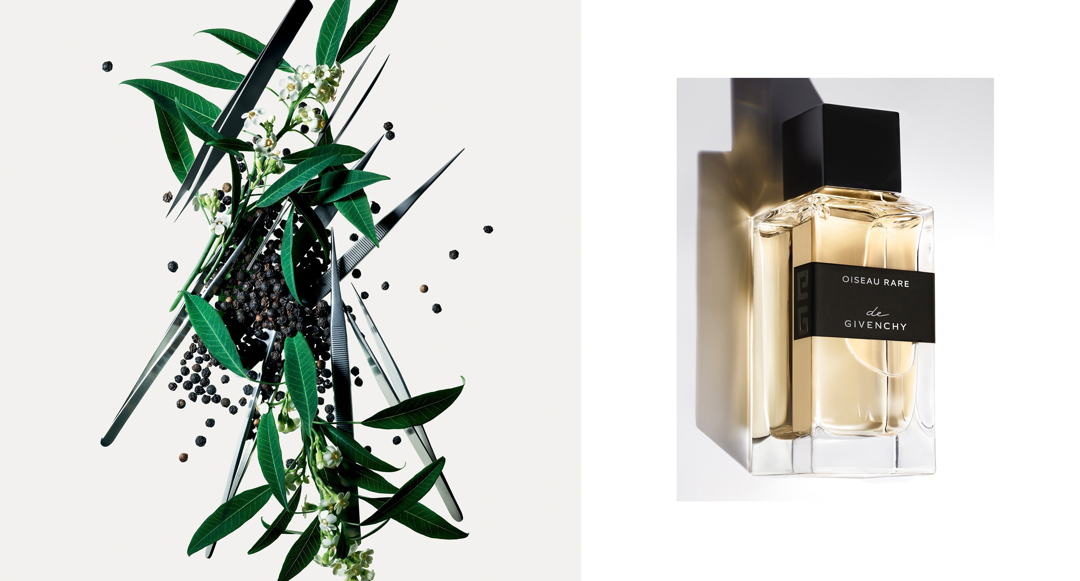 Givenchy Oiseau Rare La Collection Particuliere Eau De Parfum 100ML